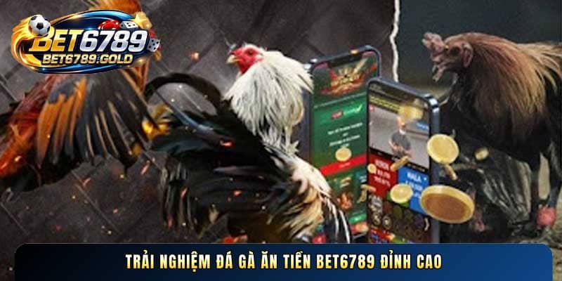 Đá gà ăn tiền BET6789 và bí quyết tham gia đấu trường hiệu quả
