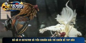 BET6789 🎖️ Trang Chủ Nhà Cái BET6789 Uy Tín Số #1 VN 2026