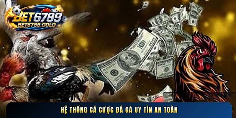Đá gà Thomo trực tiếp BET6789 và kinh nghiệm đặt cược chuẩn
