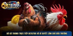 BET6789 🎖️ Trang Chủ Nhà Cái BET6789 Uy Tín Số #1 VN 2026