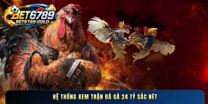 Trận đá gà 24 tỷ và những kinh nghiệm đặt cược thắng lớn hay